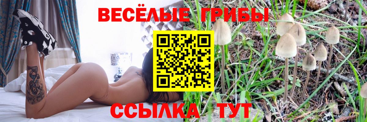 Псилоцибиновые грибы Cubensis Анапа