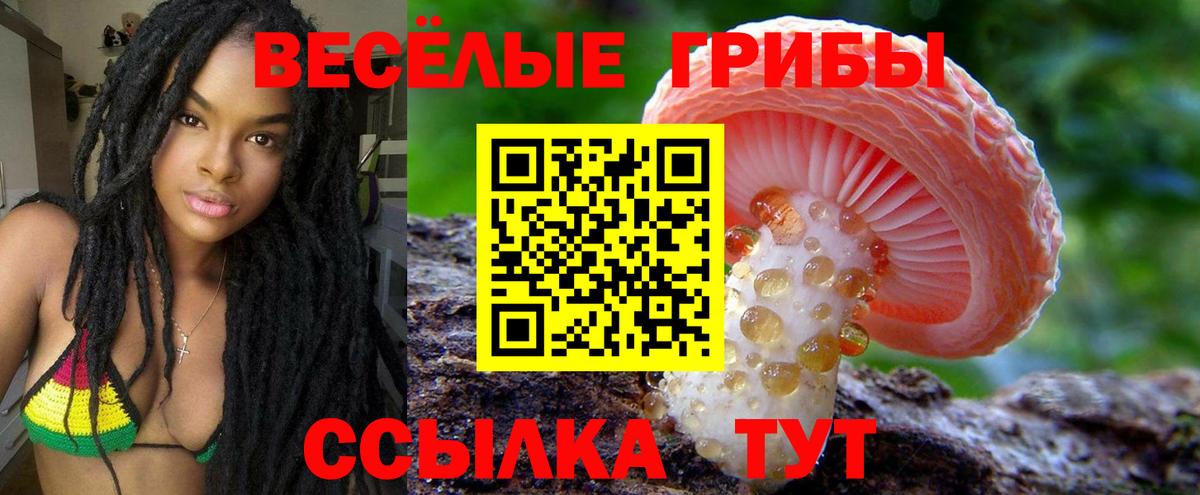 где купить наркотик  Вход с VPN  Анапа  Галлюциногенные грибы MAGIC MUSHROOMS 